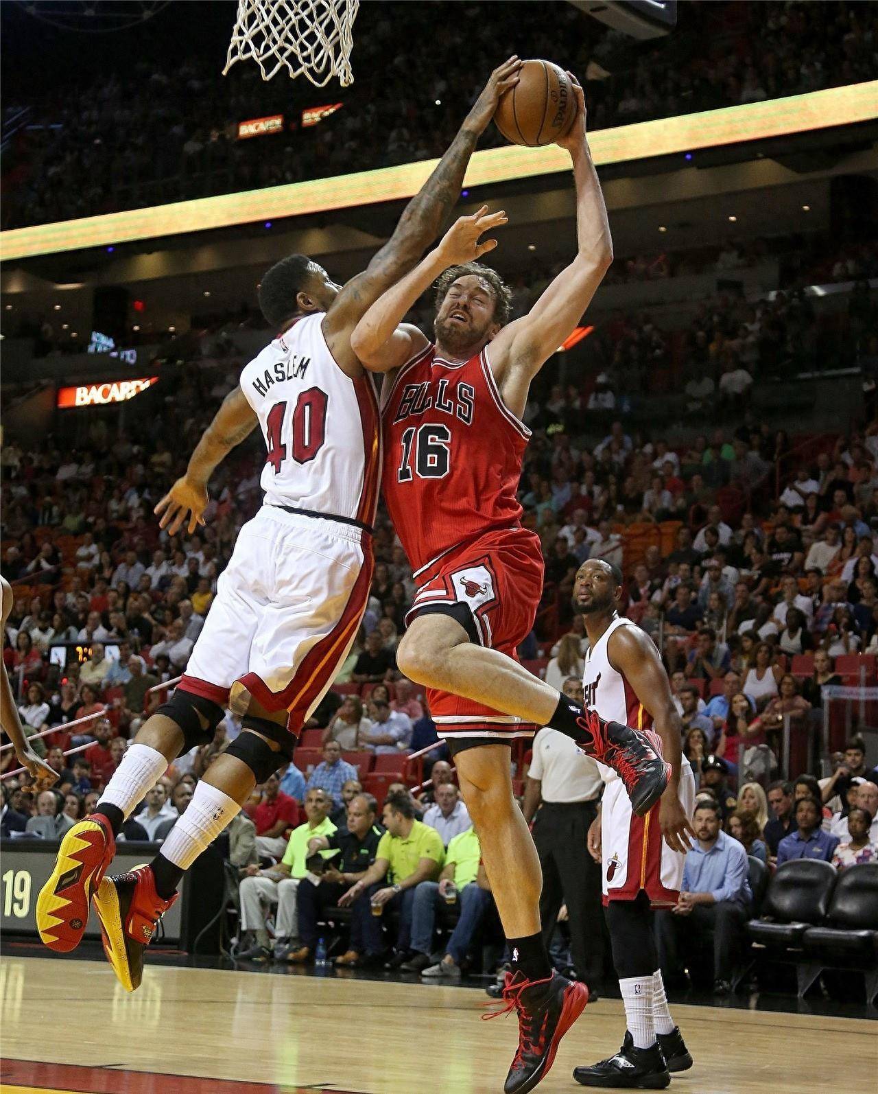 的招募之需 的招募之需