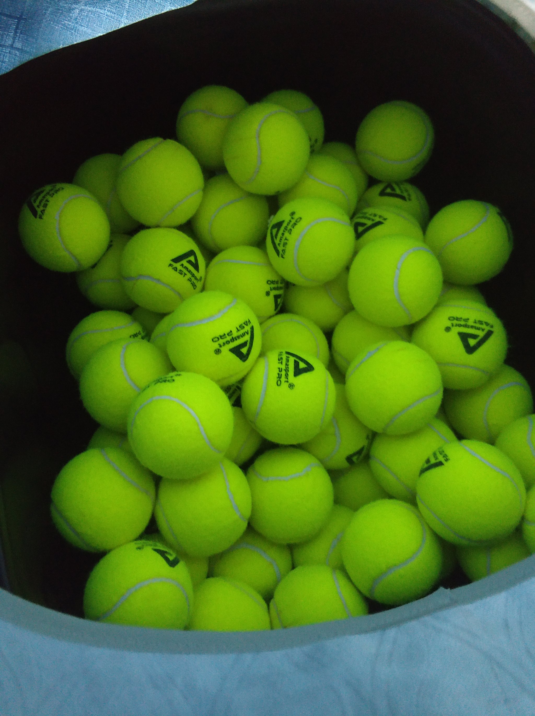 这场冰雪盛 这场冰雪盛